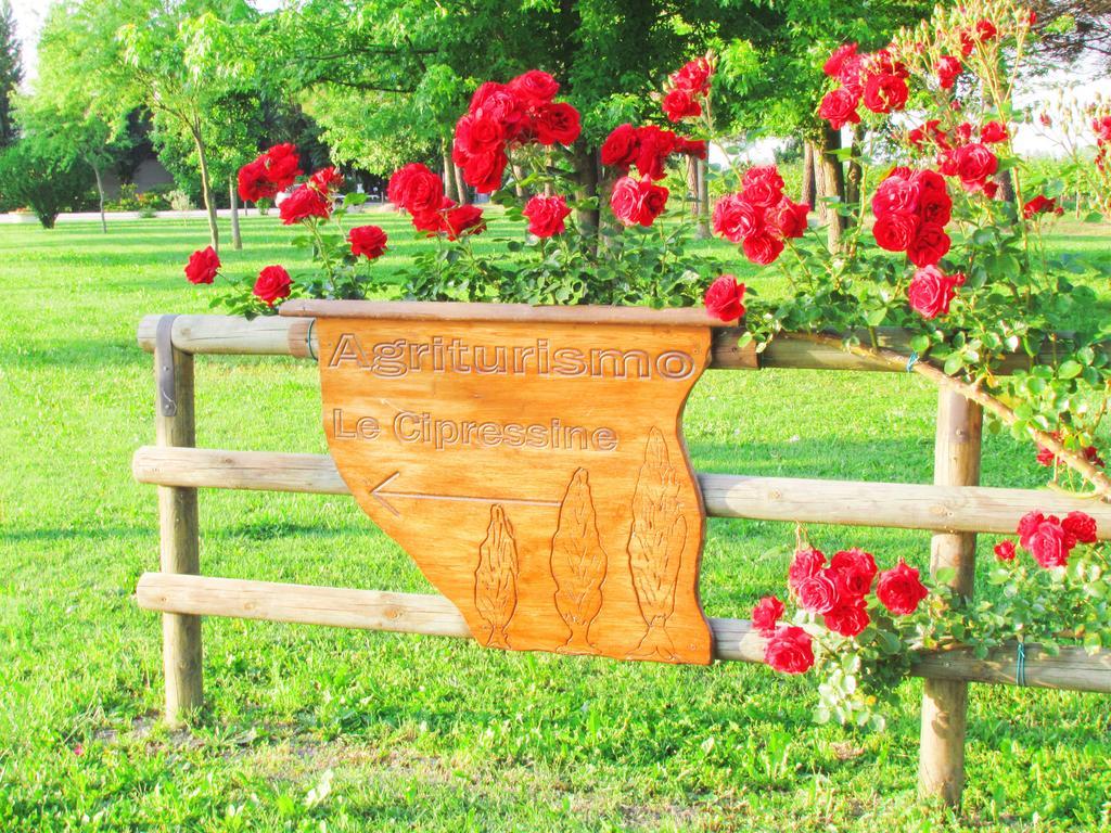 Agriturismo Le Cipressine 메올로 외부 사진