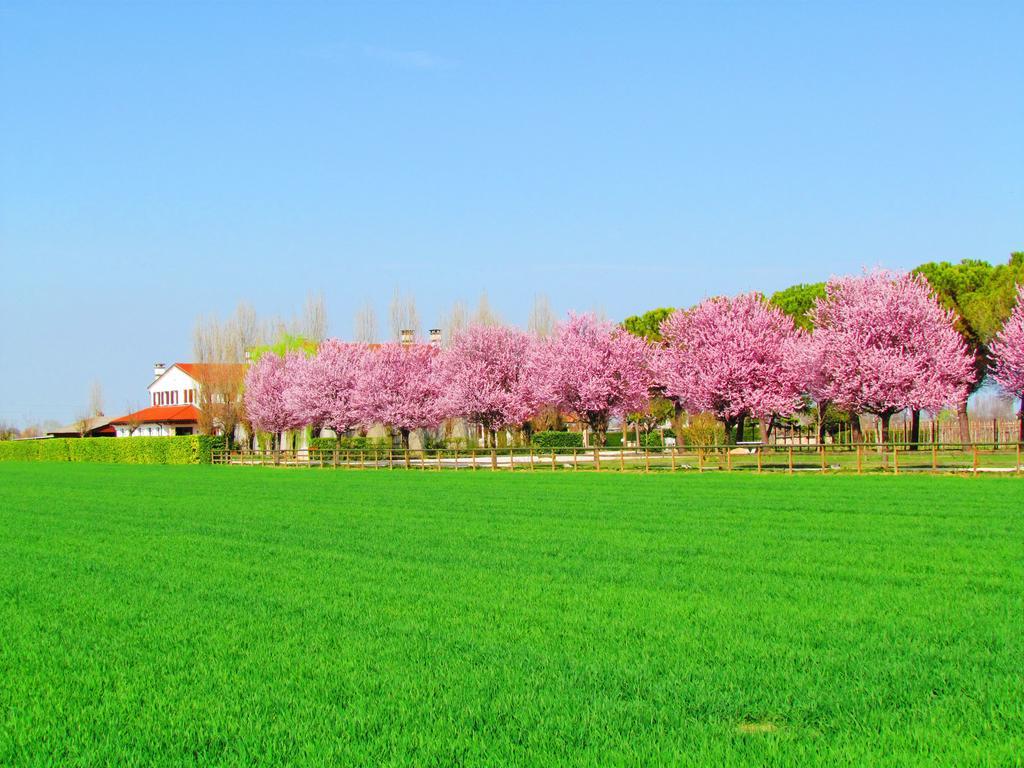 Agriturismo Le Cipressine 메올로 외부 사진