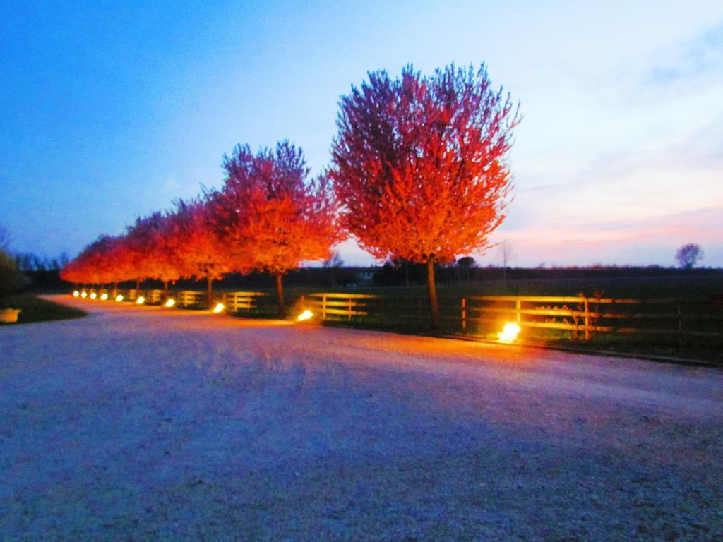 Agriturismo Le Cipressine 메올로 외부 사진