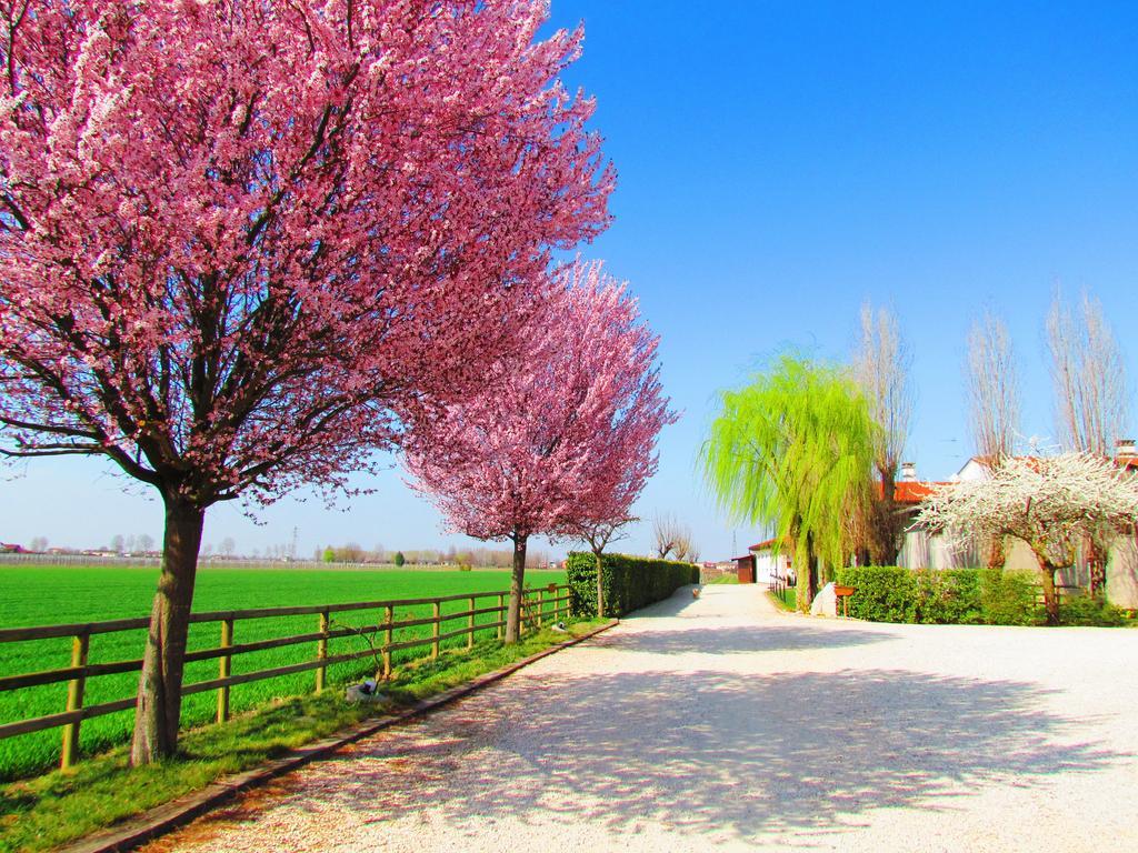 Agriturismo Le Cipressine 메올로 외부 사진