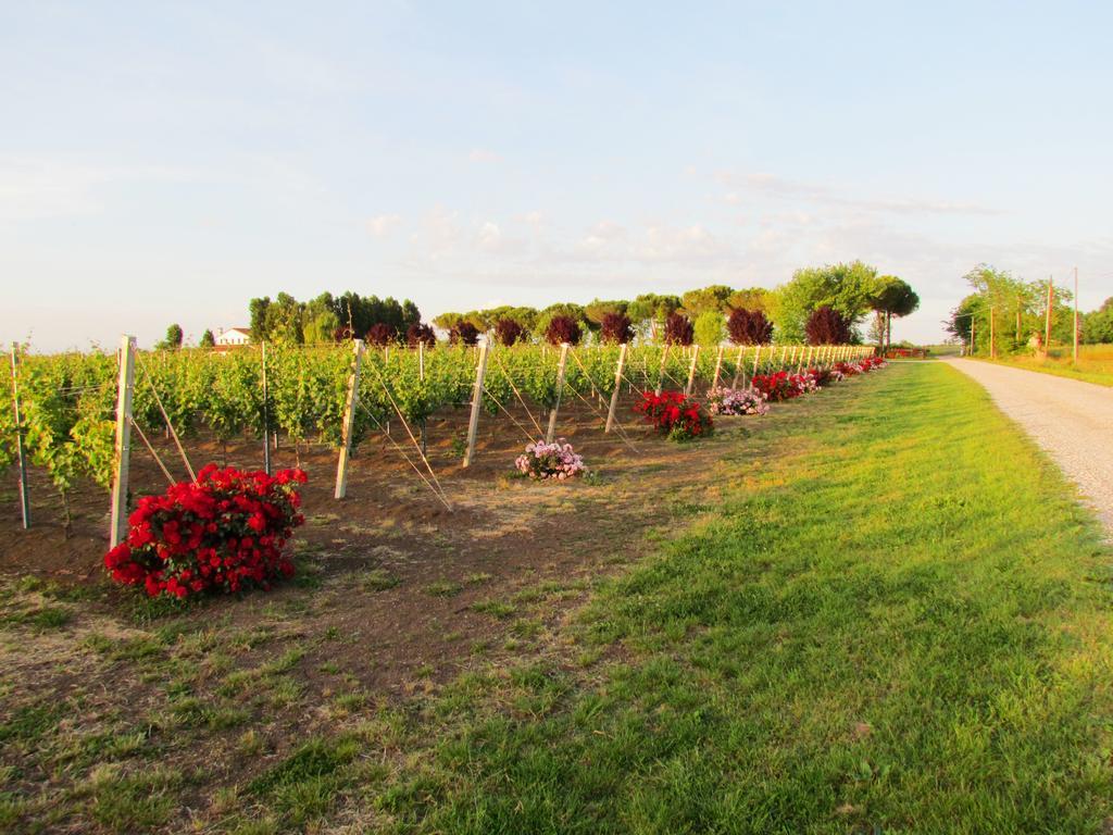 Agriturismo Le Cipressine 메올로 외부 사진