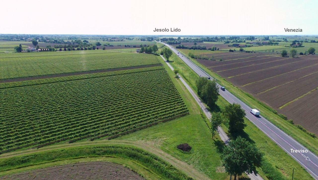 Agriturismo Le Cipressine 메올로 외부 사진