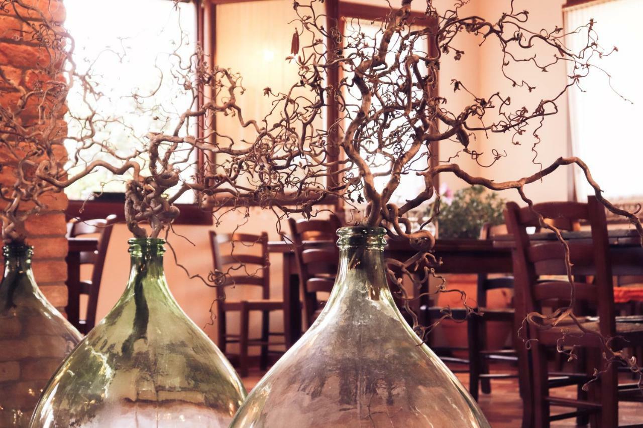 Agriturismo Le Cipressine 메올로 외부 사진
